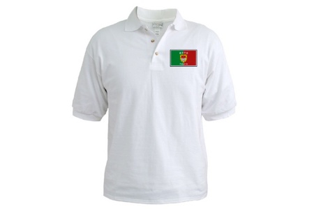 GAA Polo